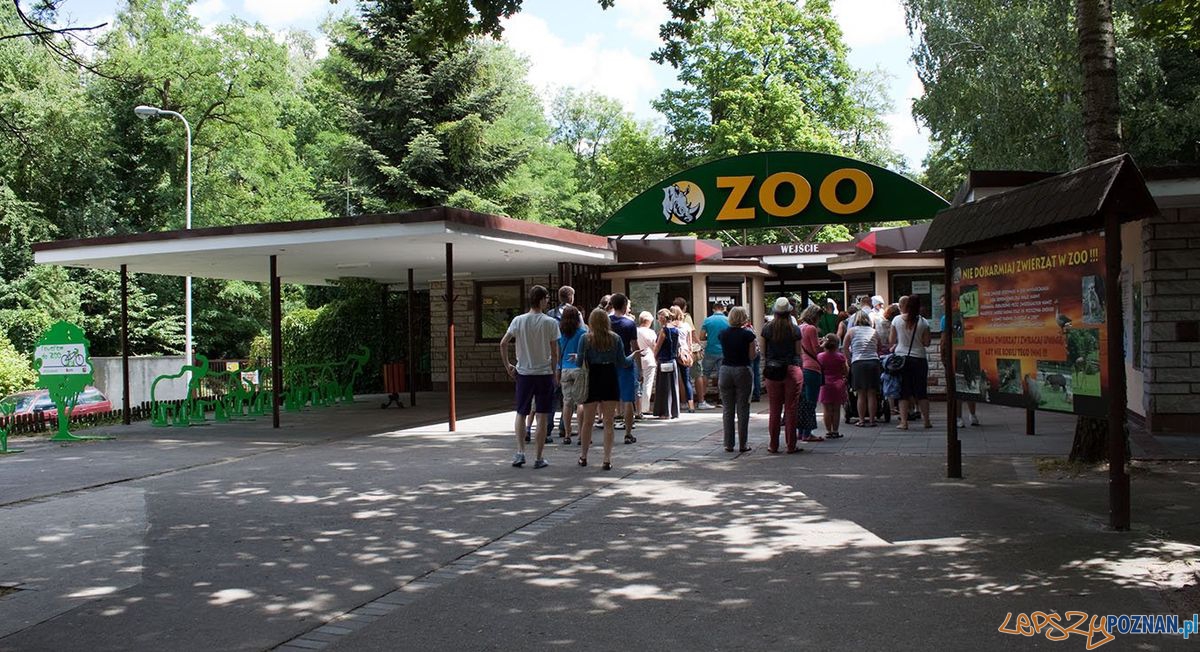 Wejście no Nowego ZOO petroniusz fp