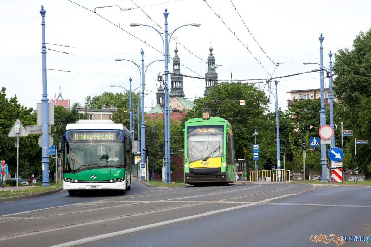 Solarisy na ulicach Poznania - Autobus i tramwaj