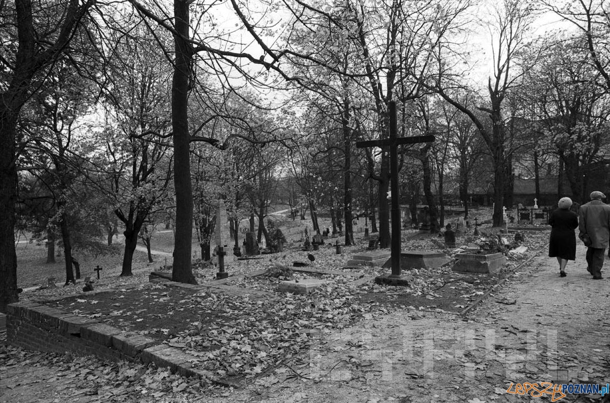 Cmentarz Zasłużonych Wielkopolan - listopad 1981 Cyryl Foto: Franciszek Nowakowki - Cyryl Cmentarz Zasłużonych Wielkopolan - listopad 1981 Cyryl