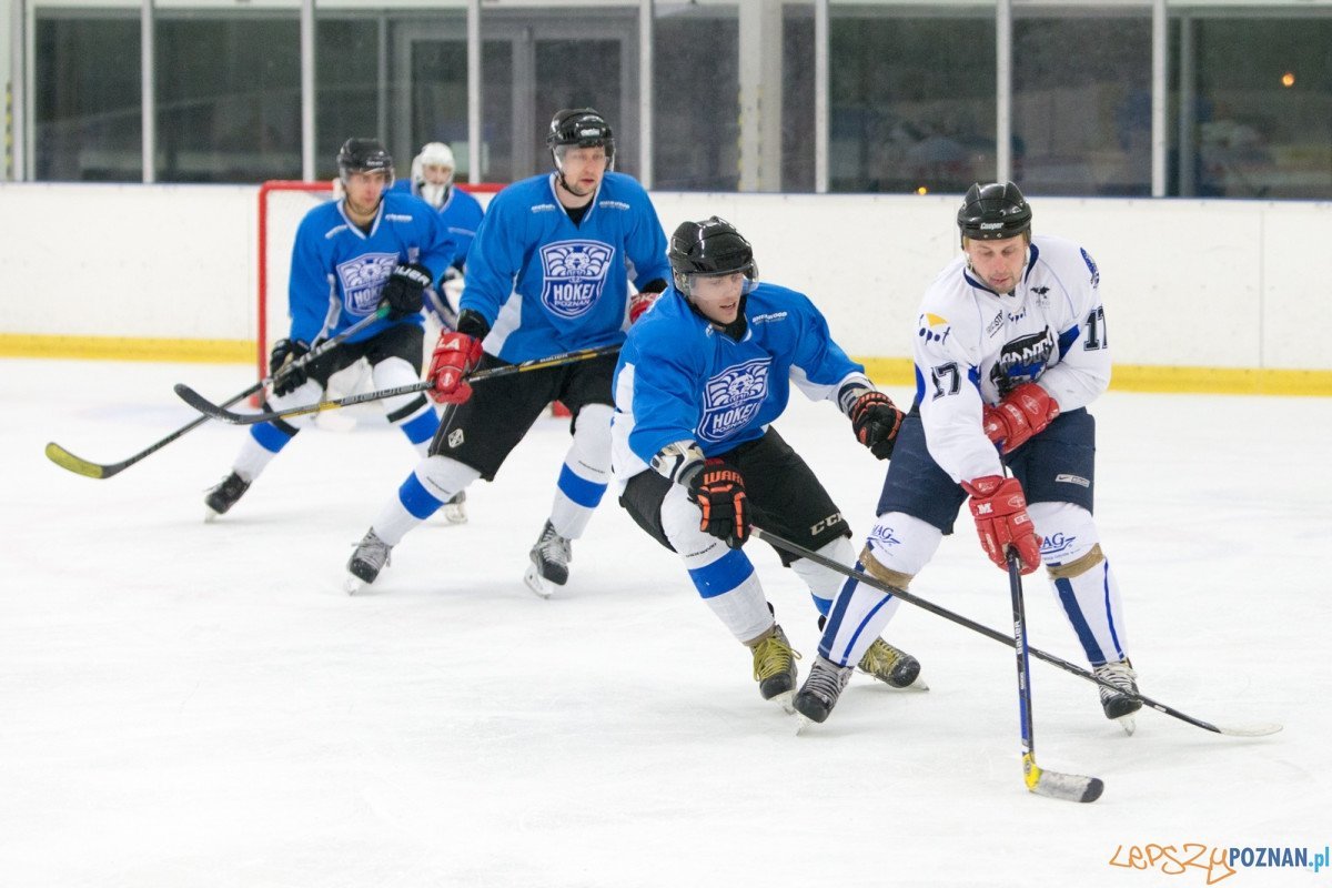 II liga hokeja na lodzie: Hokej Poznań- SKH Mad Dogs Sopot
