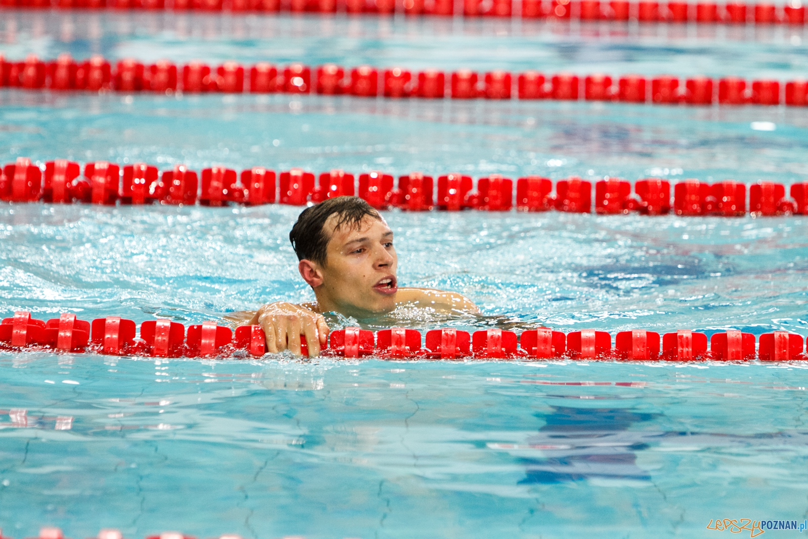 POZnań International Swimming Cup - Poznań 21.02.2016 r.