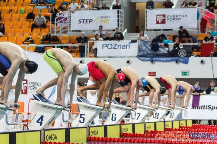 POZnań International Swimming Cup - Poznań 21.02.2016 r.