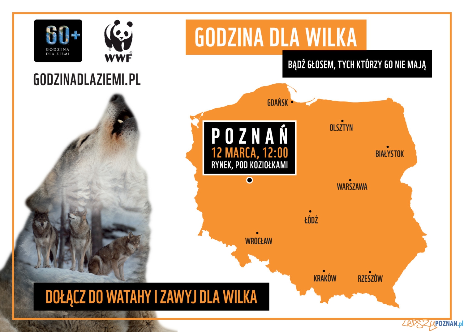 Dołącz do watahy, zawyj dla wilka - akcja WWF Polska 2016