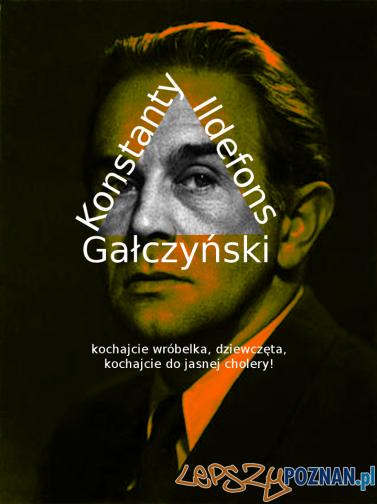 Wiersze po pierwsze - Gałczyński