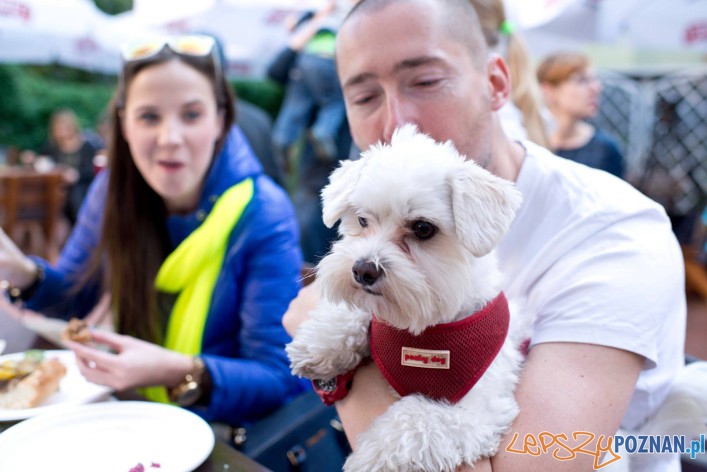 Master Chef for dogs