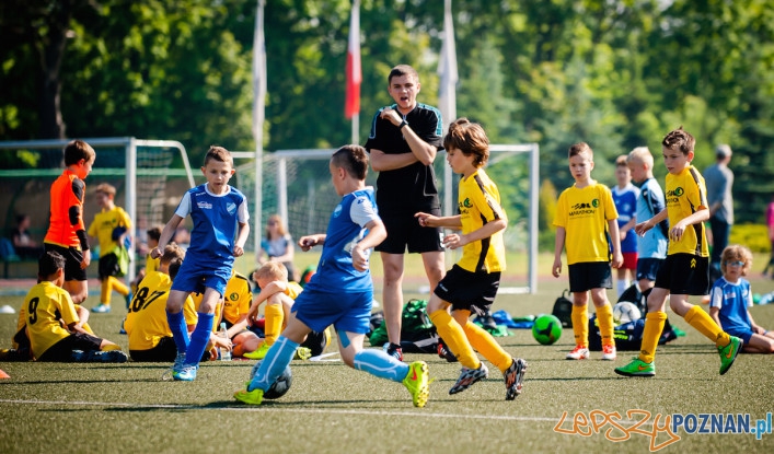 Koziołek Cup na Śródce (3)