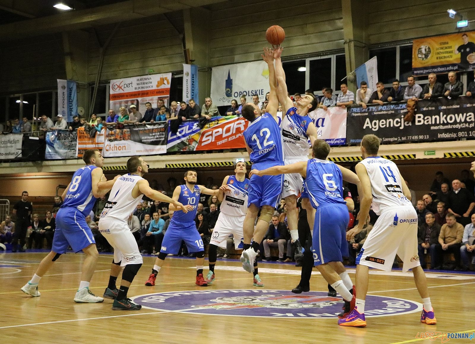 Pogoń Prudnik - Biofarm Basket Poznań