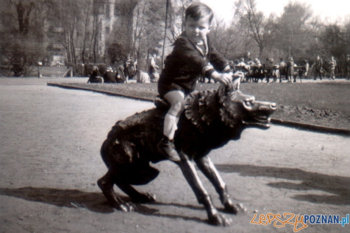 Stare ZOO - rzeźba wilka - 1954