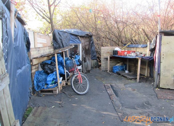 Bezdomni - Straż Miejska rozpoczęła kontrolę koczowisk