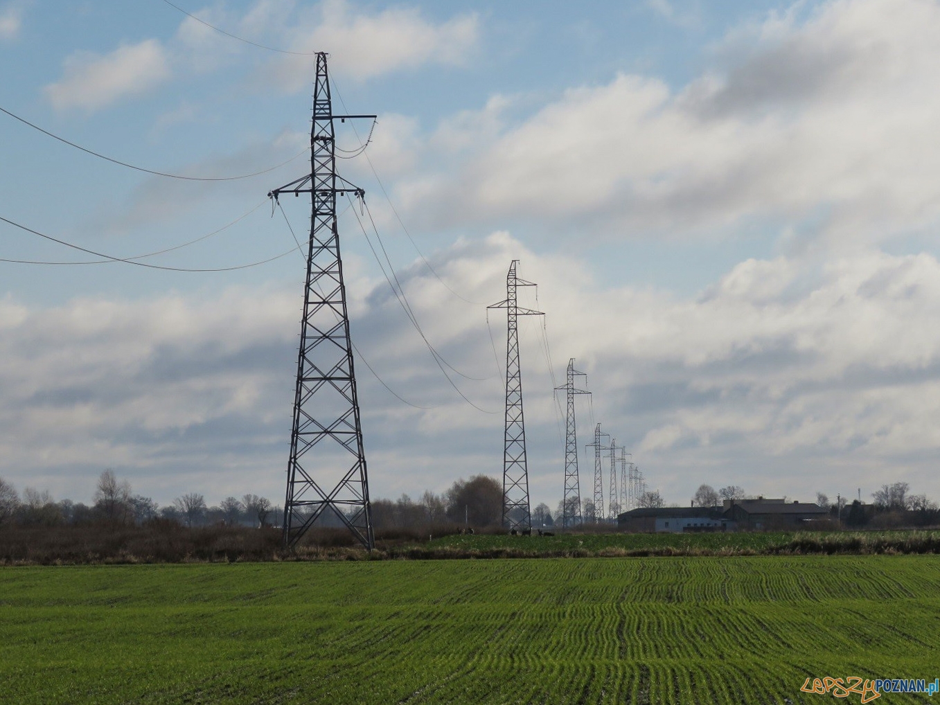 Linia 110 kV Szamotuły - Wronki