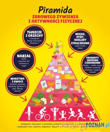 Piramida zdrowego żywienia 