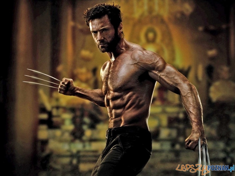 Wolverine