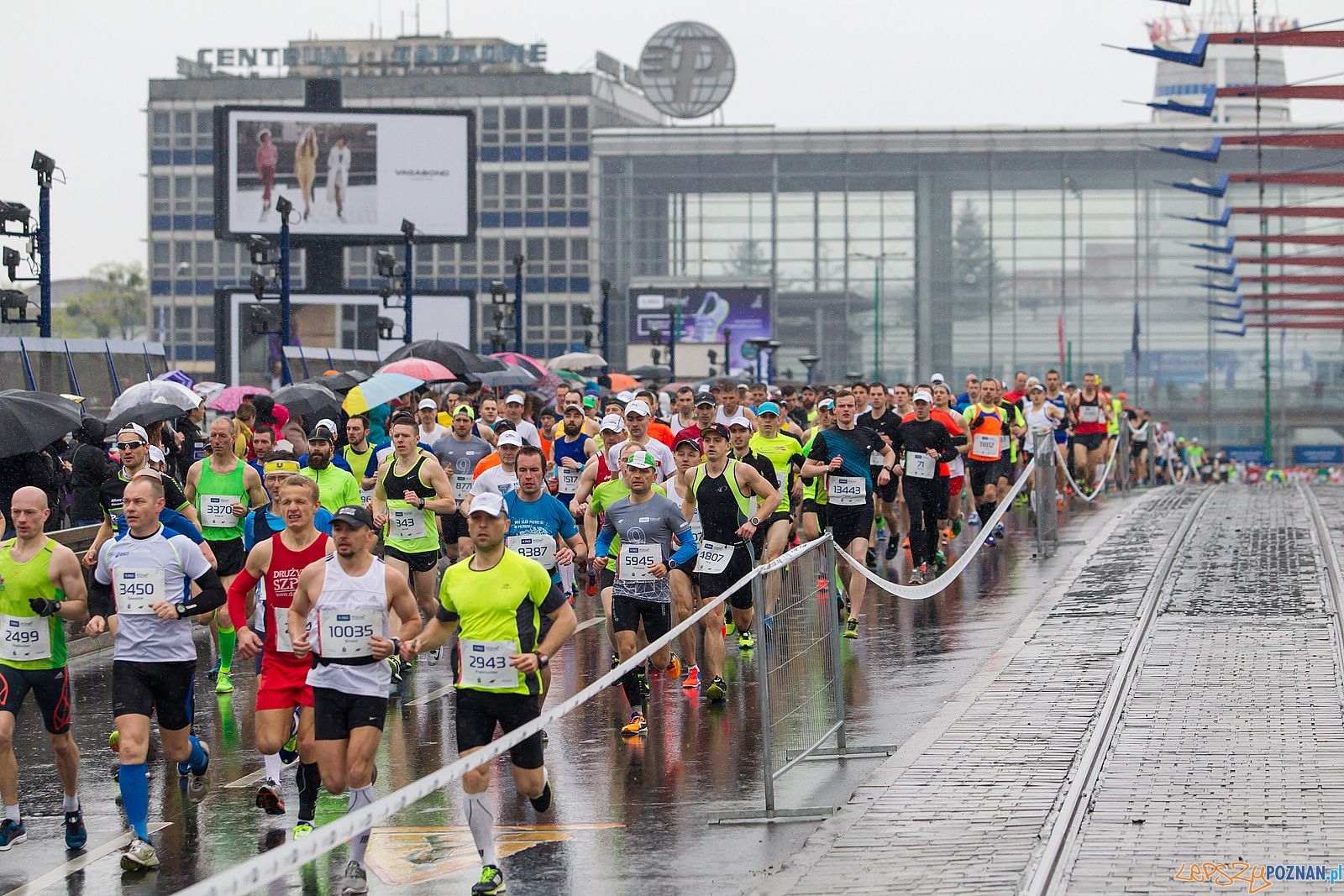 Półmaraton Poznań