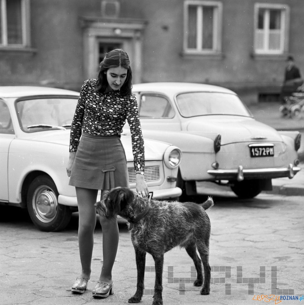 Spacer psem - 15 kwietnia 1974