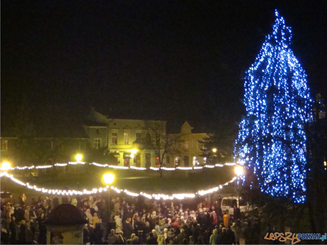 Rynek w Kostrzynie Wielkopolskim  Foto: 