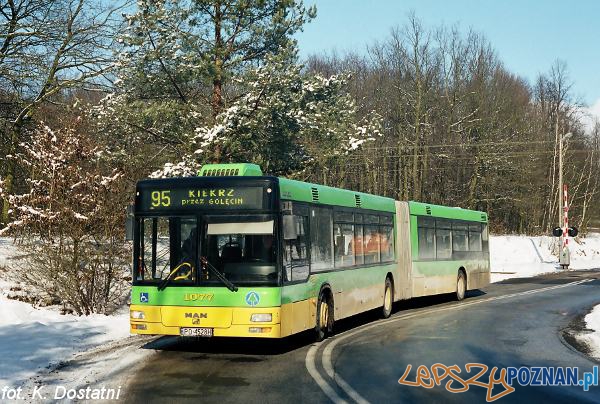 fot. K. Dostatni Foto: fot. K. Dostatni Foto: