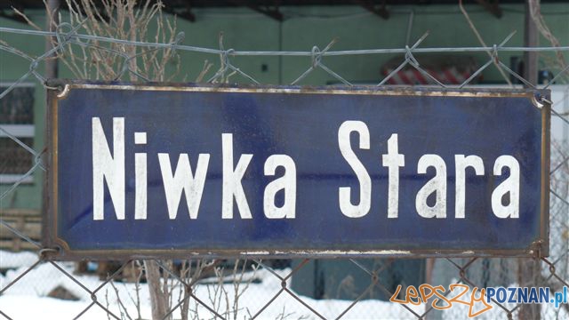 foto. UM Puszczykowa Foto: foto. UM Puszczykowa Foto: