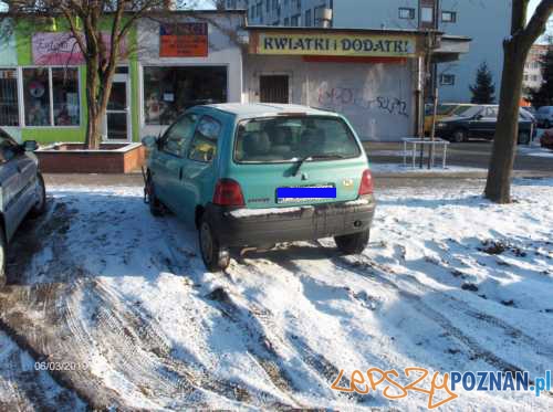 foto: Straż Miejska Foto: foto: Straż Miejska Foto: