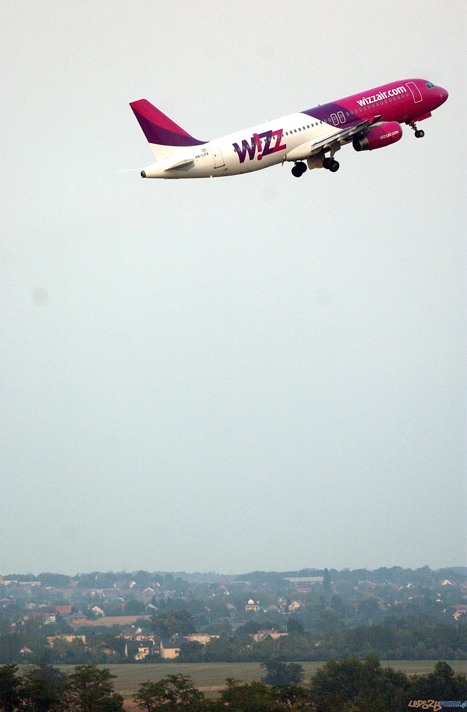 foto: wizzair - leci samolot  Foto: 