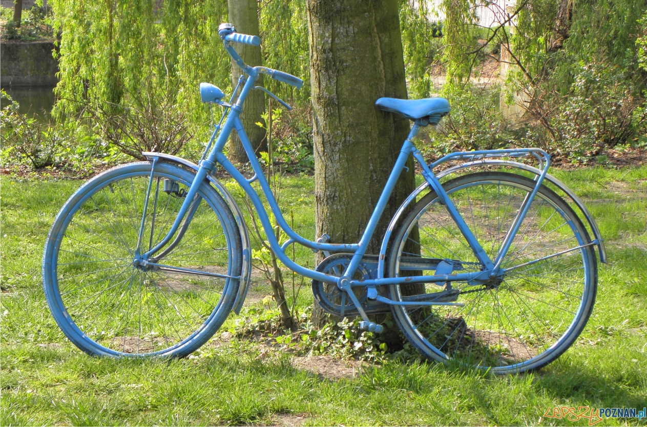 niebieski rower  Foto: sxc