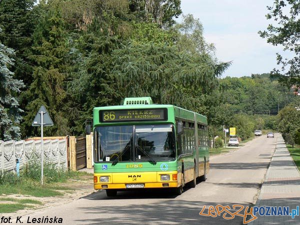 foto: MPK K. Lesińska  Foto: 