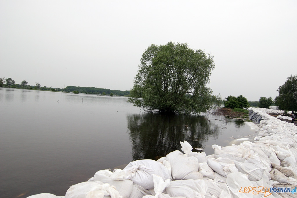 foto: lepszyPOZNAN - fala kulminacyjna - Starołęka  Foto: 