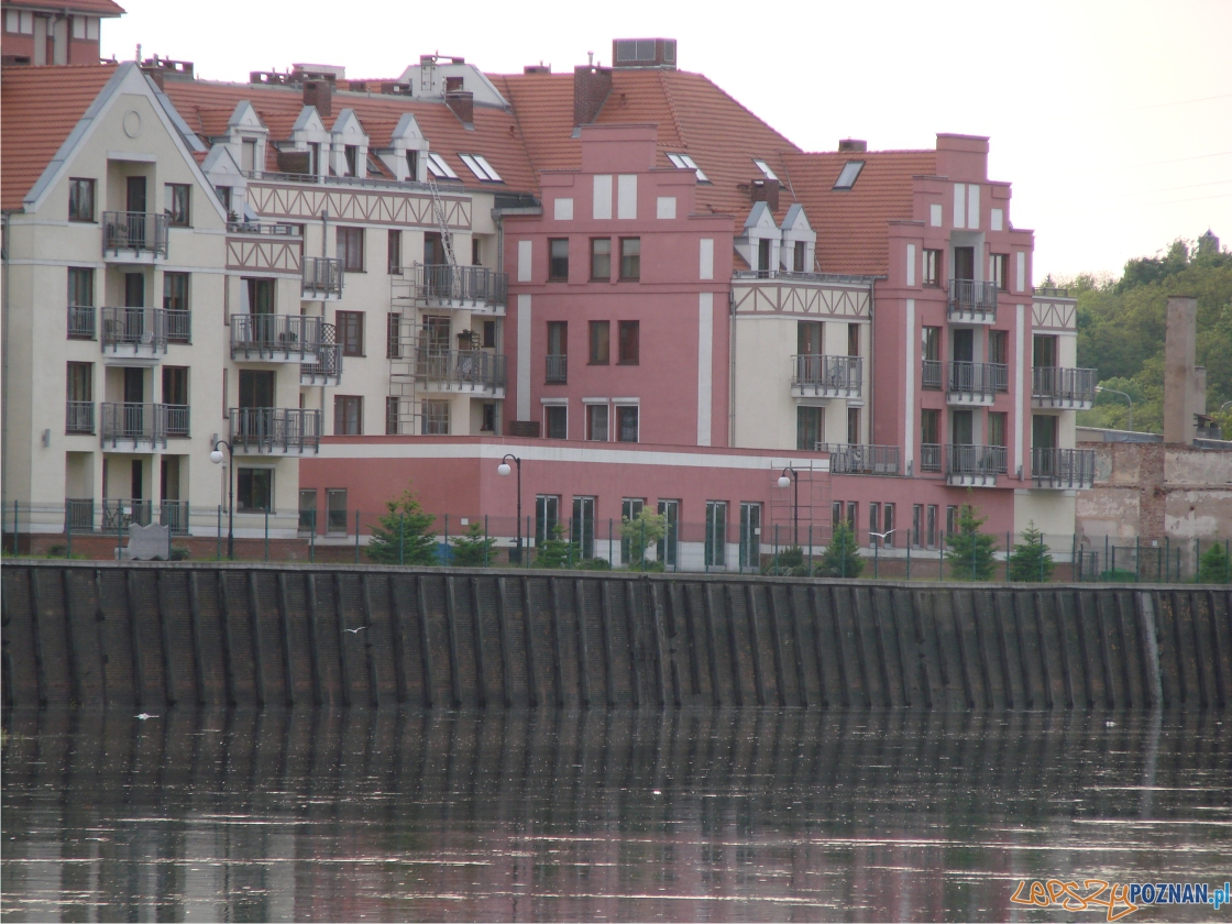 foto: lepszyPOZNAN - warta 26 05 Foto: foto: lepszyPOZNAN - warta 26 05 Foto: