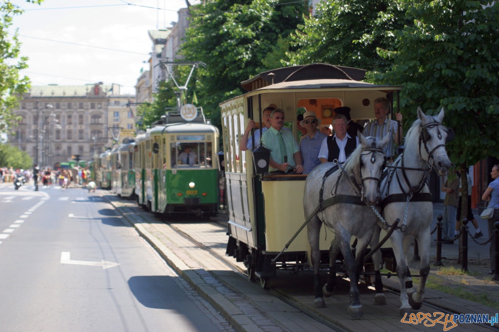 130 lat MPK w Poznaniu  Foto: Paweł Rychter