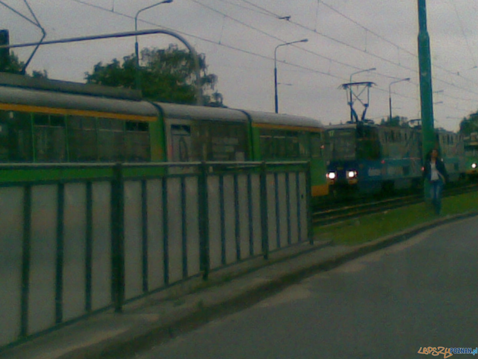 stanęły tramwaje  Foto: 