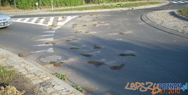 zniszczona i rozrzucona zieleń w Puszczykowie  Foto: UM Puszczykowo