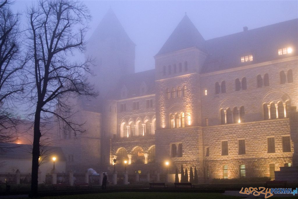 CK ZAMEK  Foto: Maciej Kaczyński