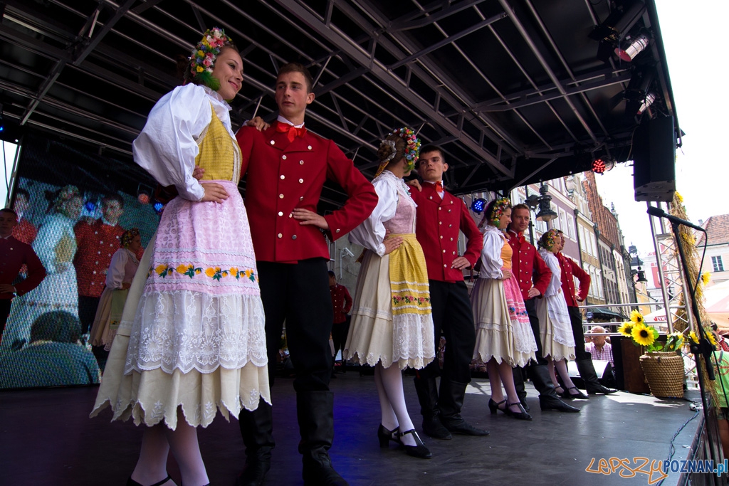 Światowy Przegląd Folkloru Integracje - Poznań, Stary Rynek 14.08.2010 r.  Foto: lepszyPOZNAN.pl / Piotr Rychter