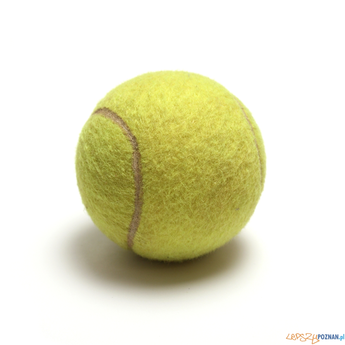 piłka tenisowa  Foto: sxc