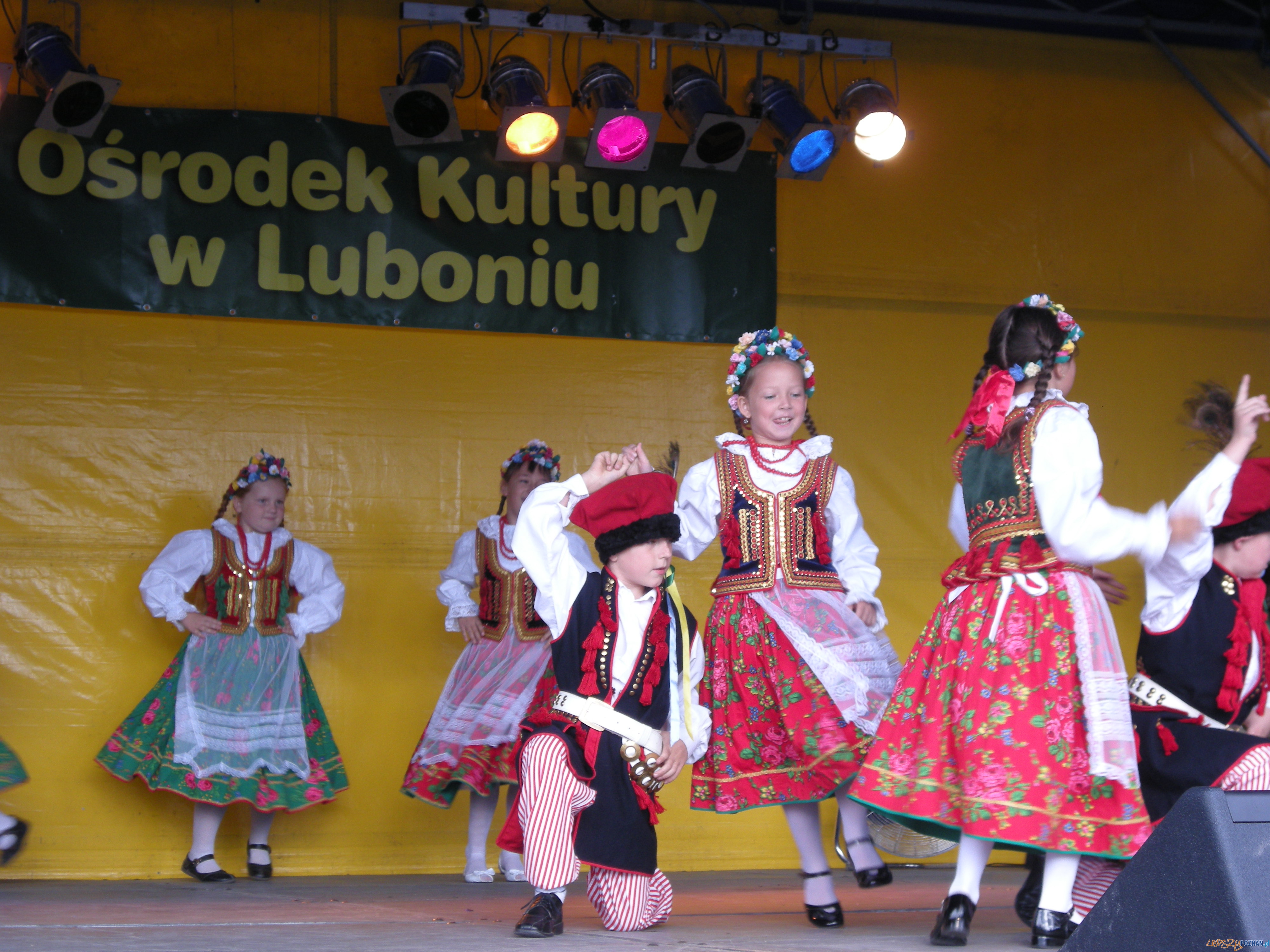 Biba w Lasku Foto: Joanna Gryczyńska Biba w Lasku Foto: Joanna Gryczyńska