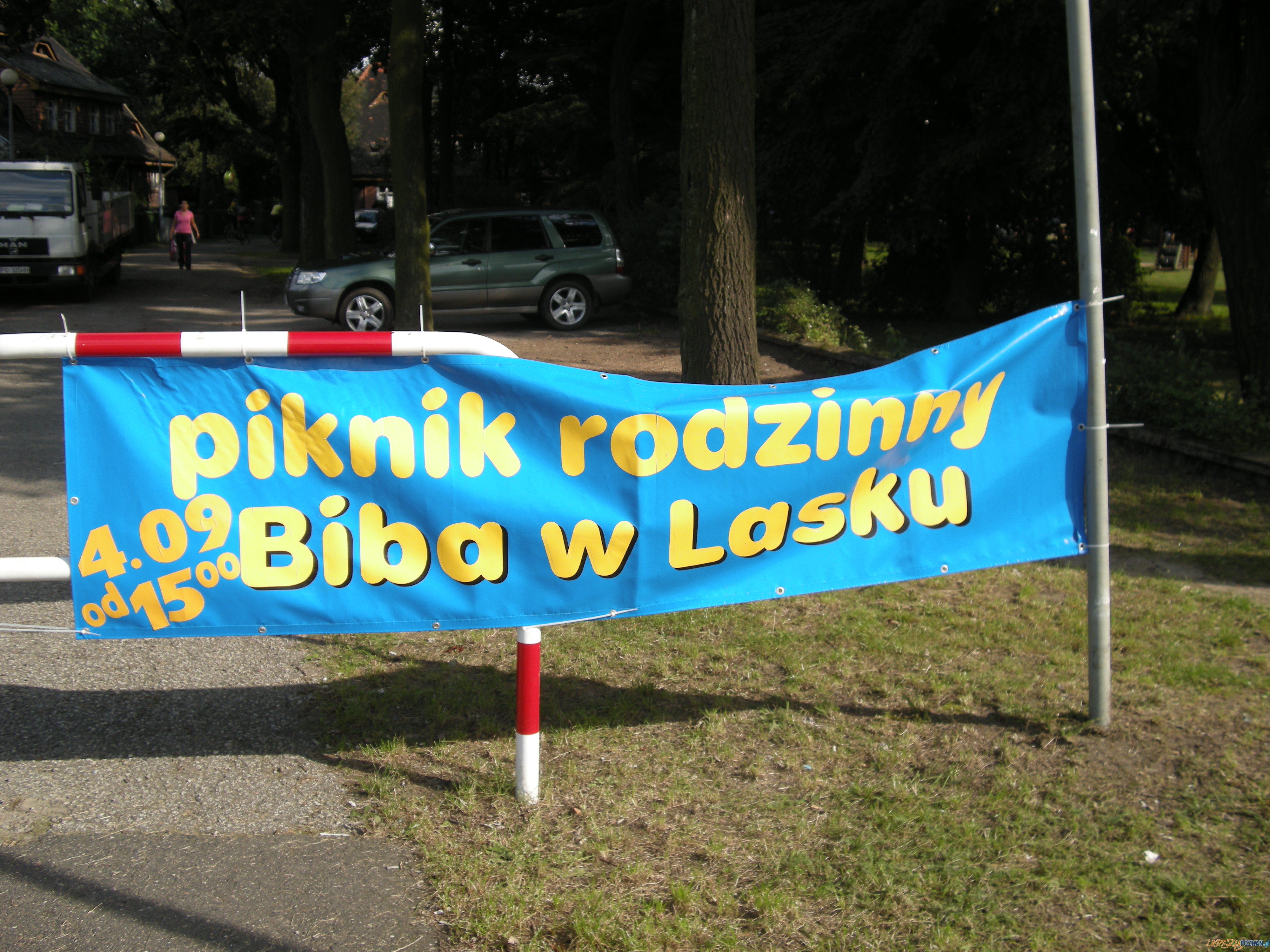Biba w Lasku Foto: Joanna Gryczyńska Biba w Lasku Foto: Joanna Gryczyńska