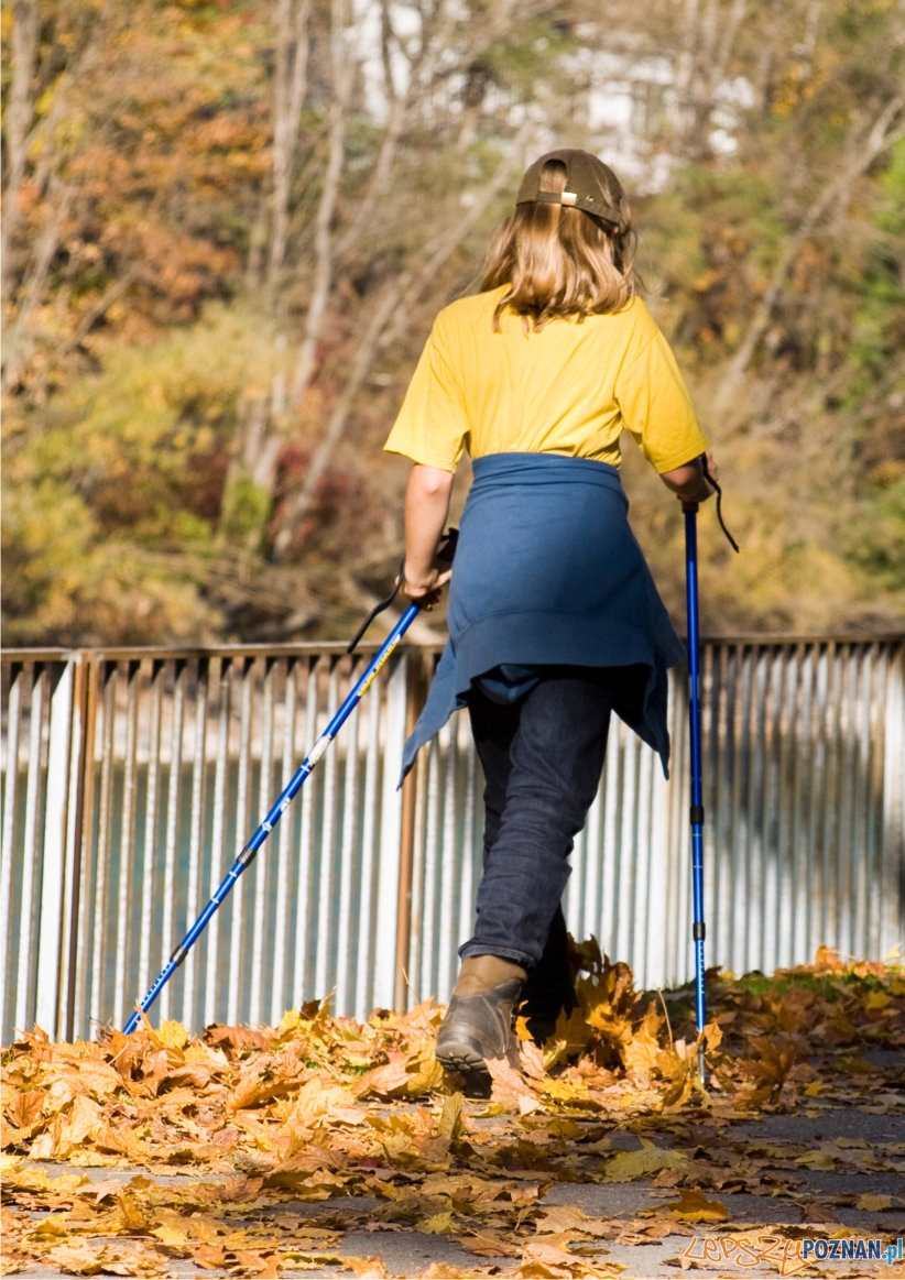 Nordic Walking  Foto: sxc