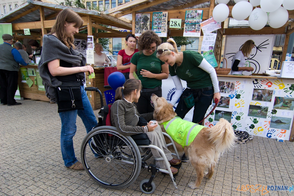 II Poznański Dzień Organizacji Pozarządowych  Foto: lepszyPOZNAN.pl / Piotr Rychter