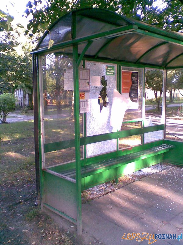 zniszczony przystanek  Foto: UM Puszczykowo