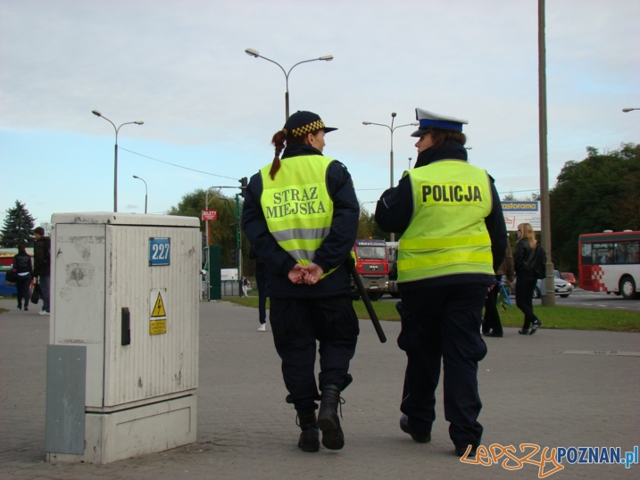 Akcja ZERO TOLERANCJI  Foto: KWP POZNAŃ