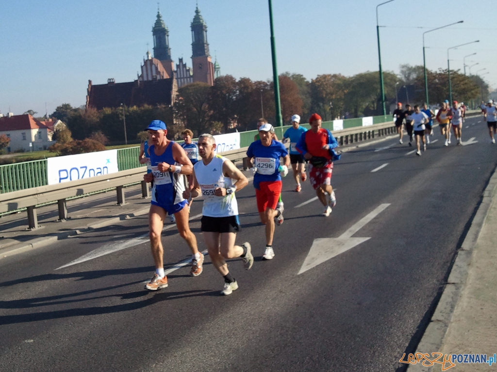 11. Poznań Maraton - Poznań 10.10.2010 r.  Foto: gsm Asia