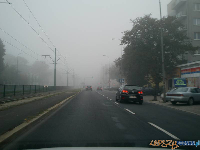 Poranna mgła w Poznaniu  Foto: Pablo