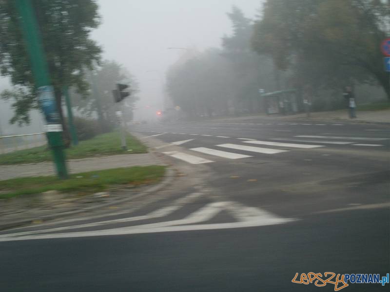 Poranna mgła w Poznaniu  Foto: Pablo