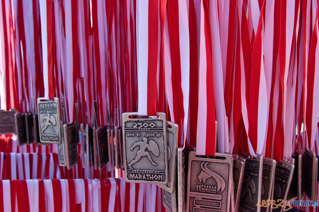 11 poznań Maraton - 10.10.2010 r.  Foto: Piotr Rychter