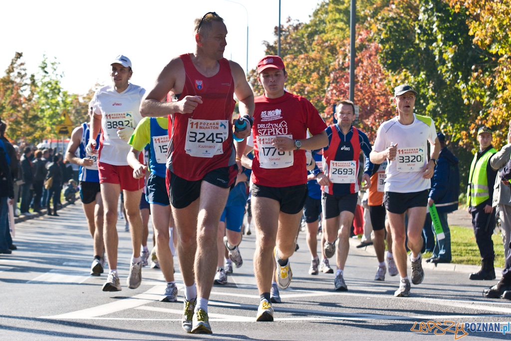 11 poznań Maraton - 10.10.2010 r.  Foto: Piotr Rychter