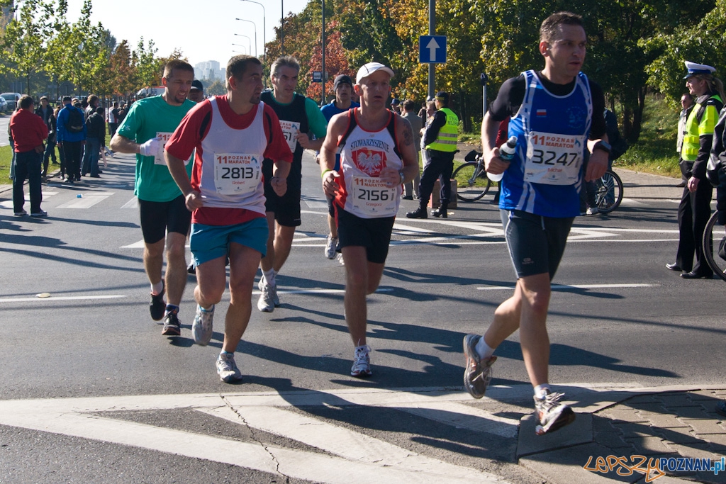 11 poznań Maraton - 10.10.2010 r.  Foto: Piotr Rychter