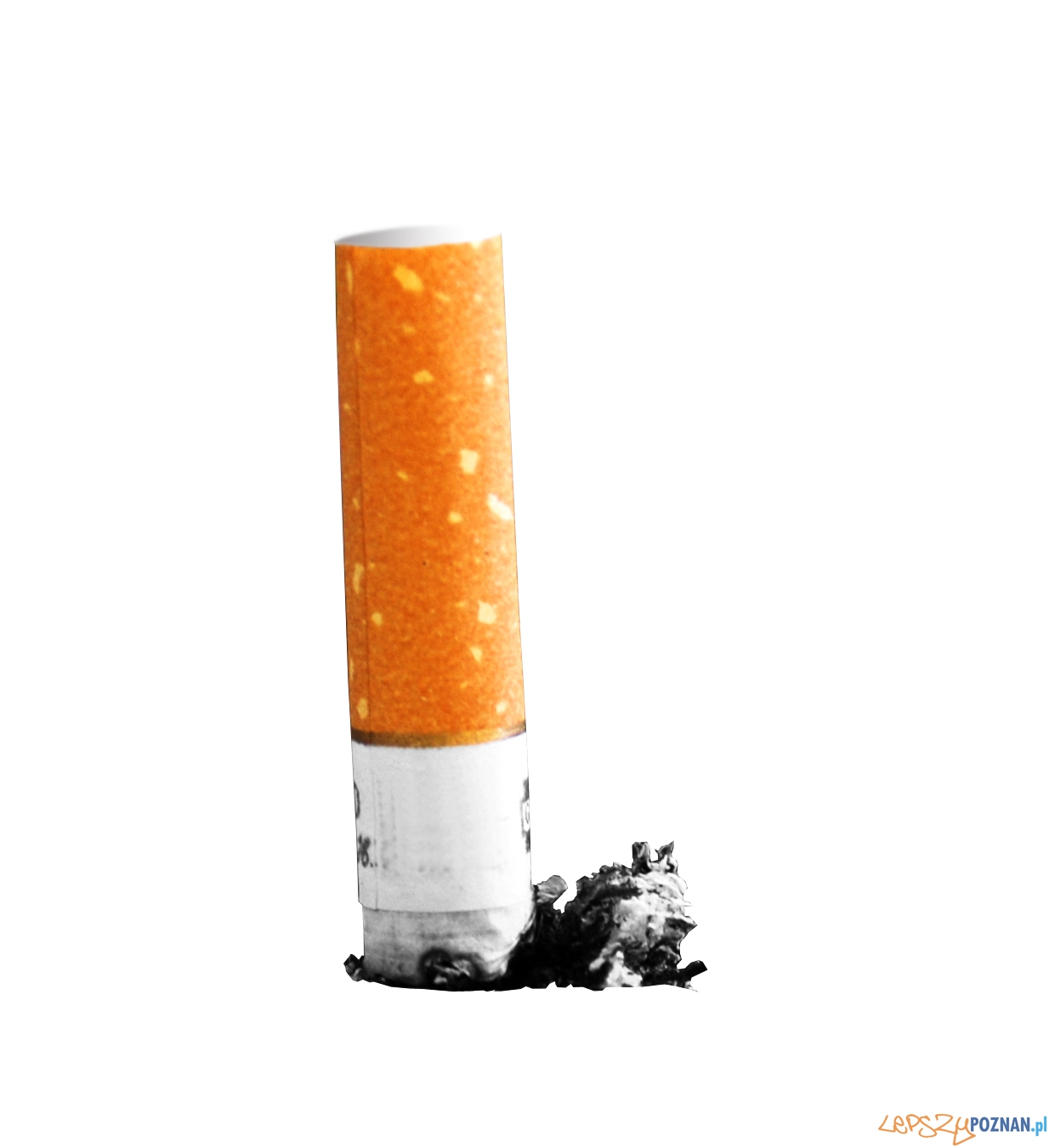 papieros zgaszony  Foto: sxc