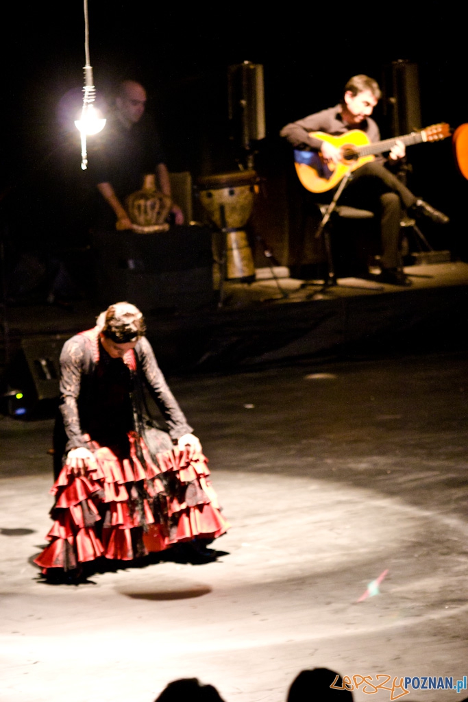 DUENDE  Miêdzynarodowy Festiwal Flamenco  EVA YERBABUENA  Foto: Piotr Rychter