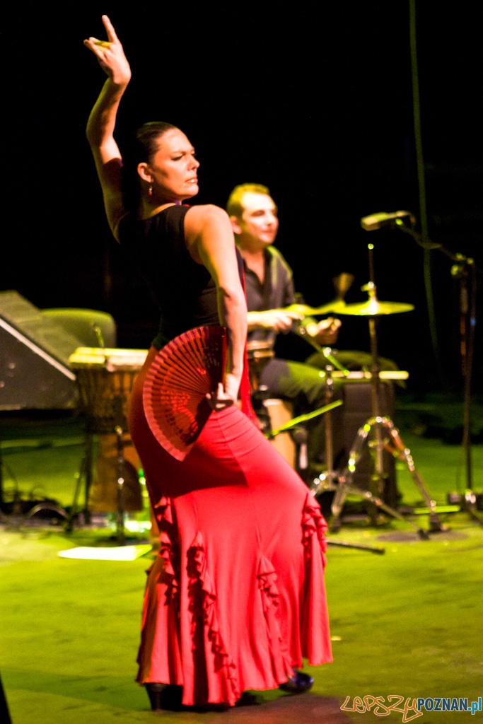 DUENDE  Miêdzynarodowy Festiwal Flamenco  CANIZARES  Foto: Piotr Rychter