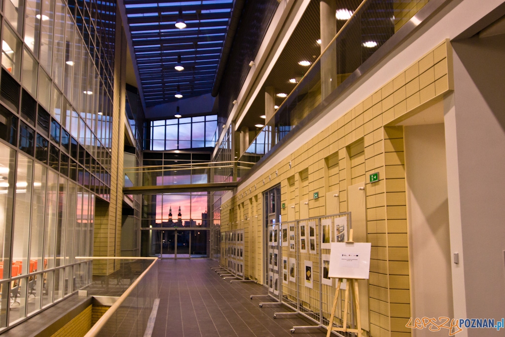 Otwarcie Biblioteki na Politechnice Poznañskiej  Foto: Piotr Rychter