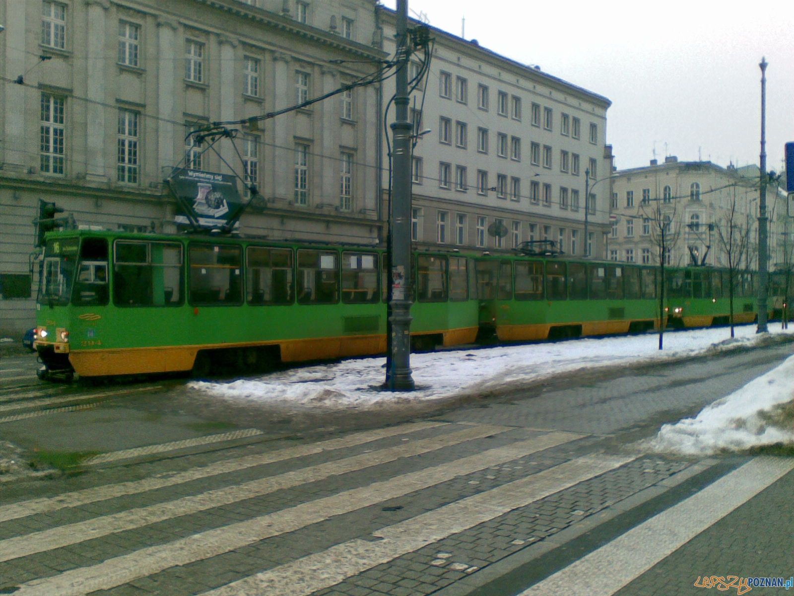 Zablokowane tramwaje na placu Wolności i Alejach Marcinkowskiego  Foto: gsm